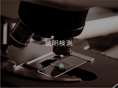 曉明検測